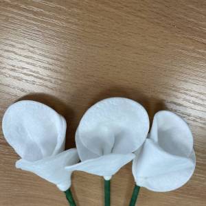 Мастер-класс по конструированию из ватных дисков и палочек «Подснежники» для учеников начальных классов