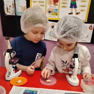 Проект по микробиологии в подготовительной группе