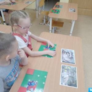 Конспект ОД «Дикие животные» в старшей группе