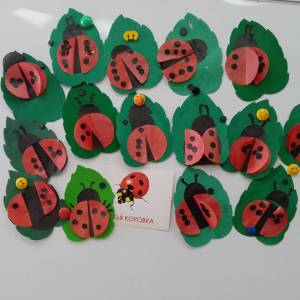 Конспект занятия по аппликации «Божья коровка» в средней группе