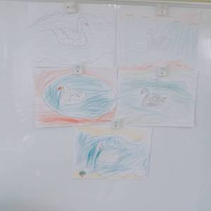 Конспект занятия по рисованию цветными карандашами «Лебедь» в старшей группе