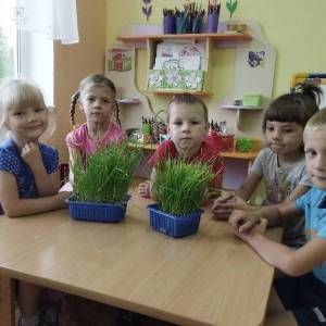 Проект «От зёрнышка до печенья: хлеб наш насущный» для детей 5–7 лет