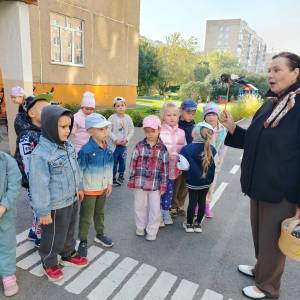 Фотоотчет о тематичекой прогулке «В гости к муравьишкам» с детьми средней группы