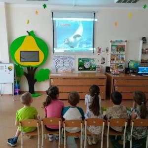 Фотоотчет о проведении Всемирного дня моря в старшей группе