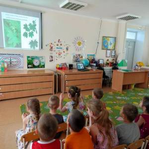 Фотоотчет о проведении «Лесной недели» в средней группе